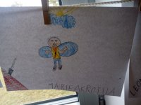 IMG_20180329_172732.jpg