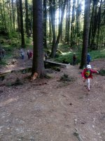 IMG_20180425_092306.jpg