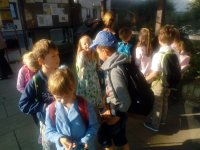 IMG_20180615_073401.jpg