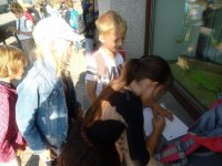 IMG_20180615_081240.jpg