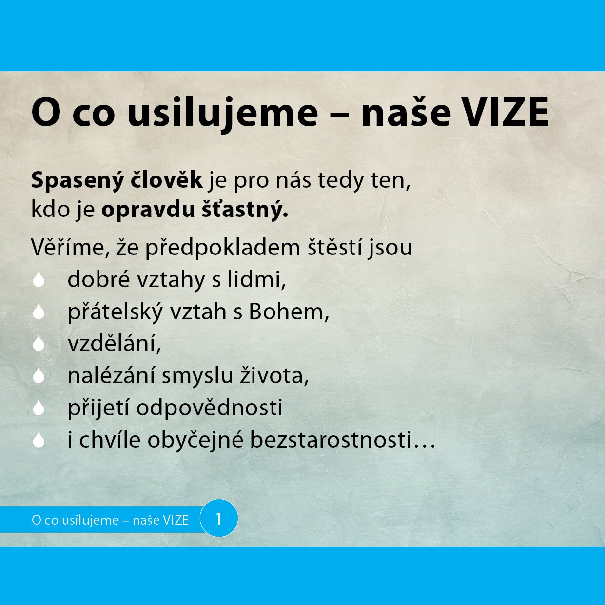 01-VIZE2.jpg