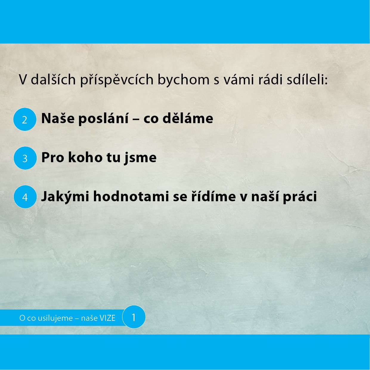 01-VIZE4.jpg